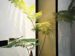 -子福慧(虹桥店)