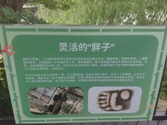 -苏州太湖国家湿地公园