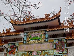 -广州市流溪河国家森林公园