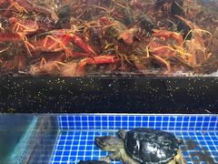 -盱眙小龙虾(天虹店)