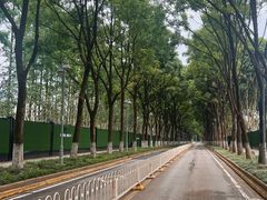 -后襄河公园
