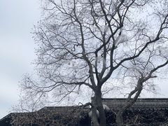 -香园茶社·金陵小灶(老门东店)