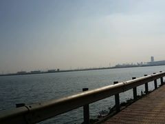 android_upload_pic-瑶湖郊野森林公园