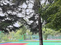 -吉林大学(前卫南区)