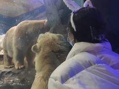 -海合安武汉极地海洋公园