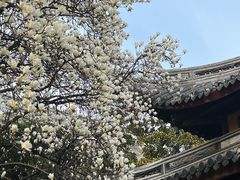 -龙华寺