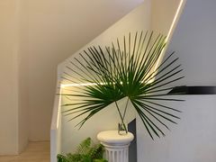 -伊斯坦布尔土耳其清真咖啡餐厅