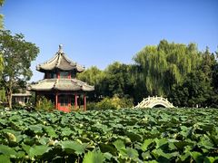 -莲池书院博物馆