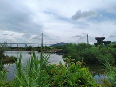 -芒洲湿地公园