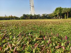 -南宁市凤岭儿童公园