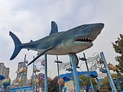 -海合安武汉极地海洋公园