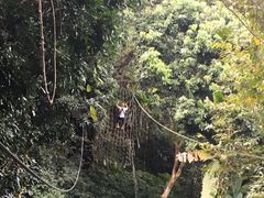 -清迈丛林飞跃 JungleFlight