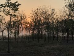 -天津东丽湖风景区
