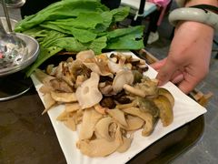 -蘑统田下·野生菌火锅