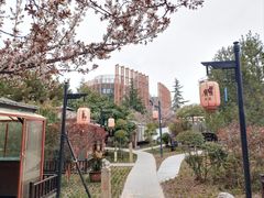 -后海彼岸花园餐厅