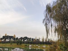 -白鹭湾湿地公园