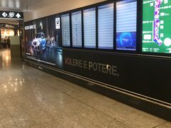 -米兰马尔彭萨国际机场