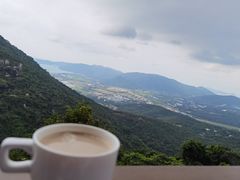-三亚亚龙湾人间天堂鸟巢度假村
