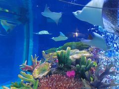 -成都浩海立方海洋公园