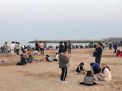 -日照灯塔风景区