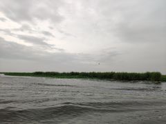 -白洋淀景区