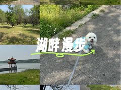 -棋盘山风景区