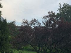 -山东师范大学(千佛山校区)