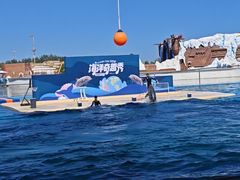 -秦皇岛乐岛海洋王国