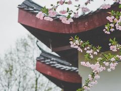 -堤角公园