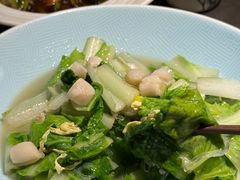 -前海沿·青岛菜(大拇指广场石老人店)