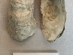 -杭州西湖博物馆总馆