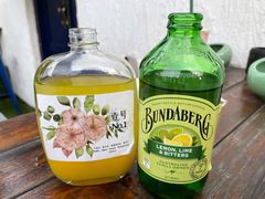 -Sirena海妖日咖夜酒