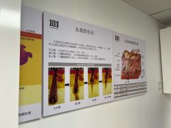 -章光101防脱养发荟