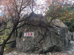 -阳台山自然风景区