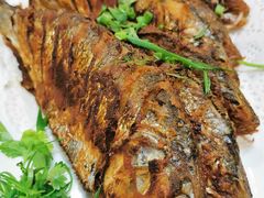 -八仔大富楼·河鲜(西江店)