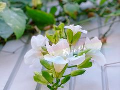-亚洲大陆最南端