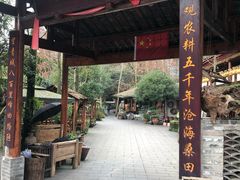 -青城甲(青城山店)