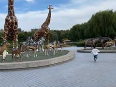 -北京野生动物园