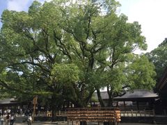 -热田神宫