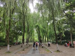 -柳浪闻莺公园