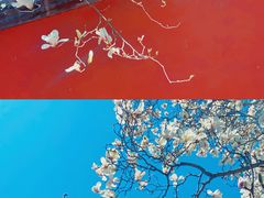 -天坛公园