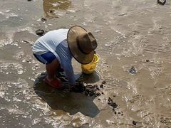 -巧克力渔家.小船海鲜胶东菜(万平口店)