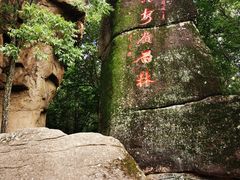 -汤旺河林海奇石景区