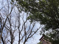 -终南山南五台景区