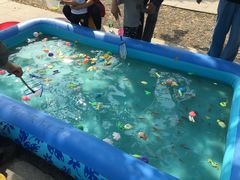 -永定河休闲森林公园