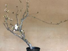 -热田神宫