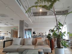 大堂-COFFEEOLOGY咖啡学(天银店)