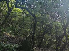 -杭州半山国家森林公园