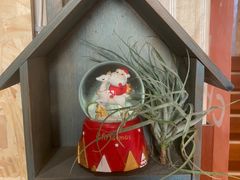 -Rabbit Cafe私房西餐甜点咖啡(栖霞路店)