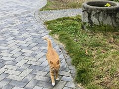 -九尺赵老四鲜鹅肠火锅